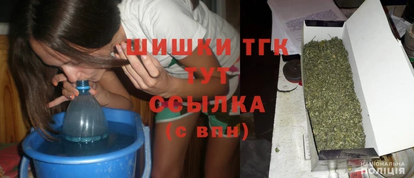 spice Алексин