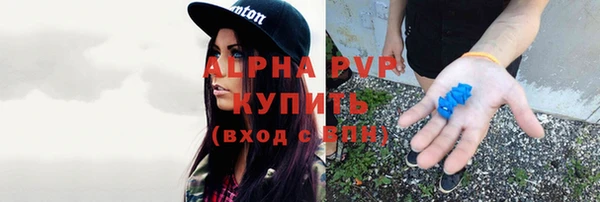 твердый Снежногорск
