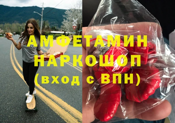 гидра Слюдянка