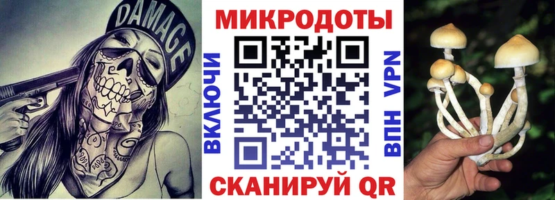 где продают наркотики  Слюдянка  Галлюциногенные грибы мицелий 